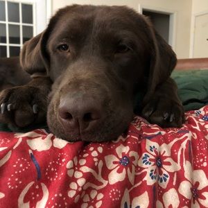 Meet your Posher, Lori